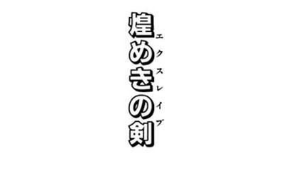 月様 トリックスター / Ninja ZX-4R SE/4RR（24-26）政府認証ダウン